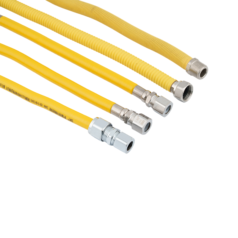 Industrial-Grade Integrated Stainless Steel Double-Threaded Gas Hose